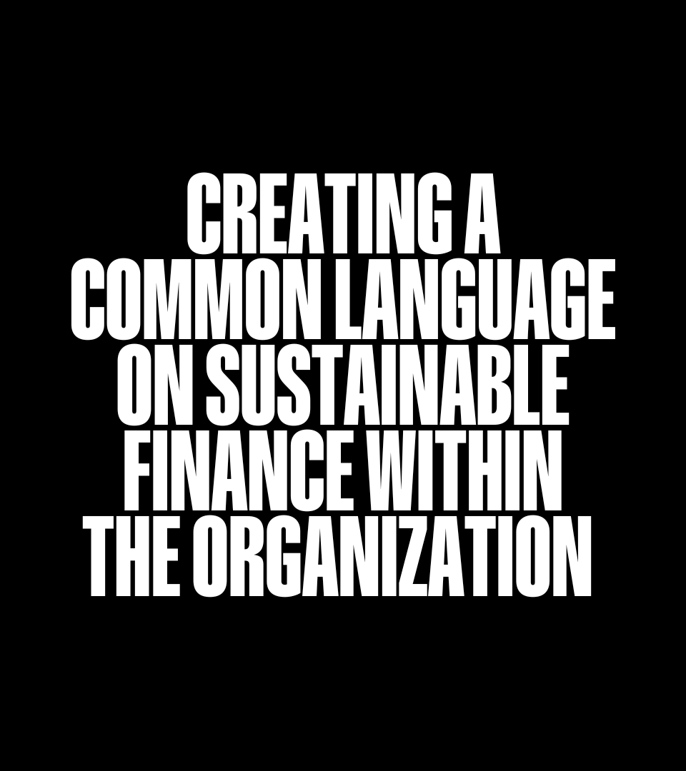 Creating a Common Language On Sustainable Finance Within the Organization
